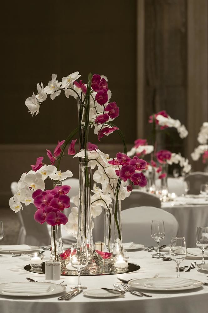 Fotos del hotel - St. Regis Saadiyat Island