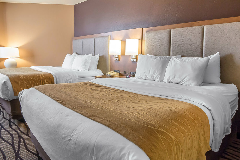 Comfort Inn & Suites Market - Airport