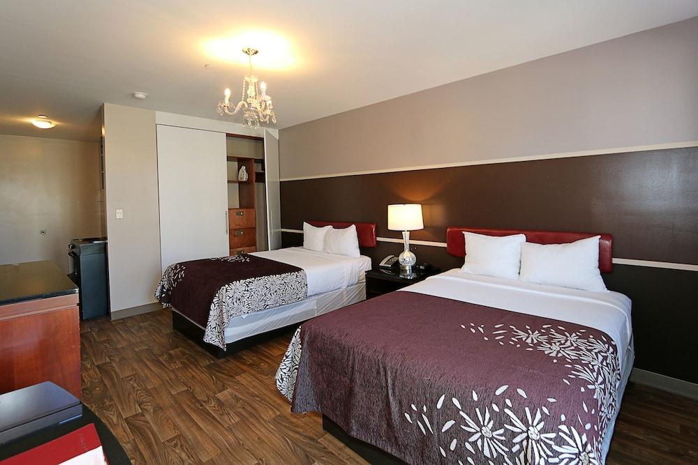 Fotos del hotel - HOTEL VETIVER
