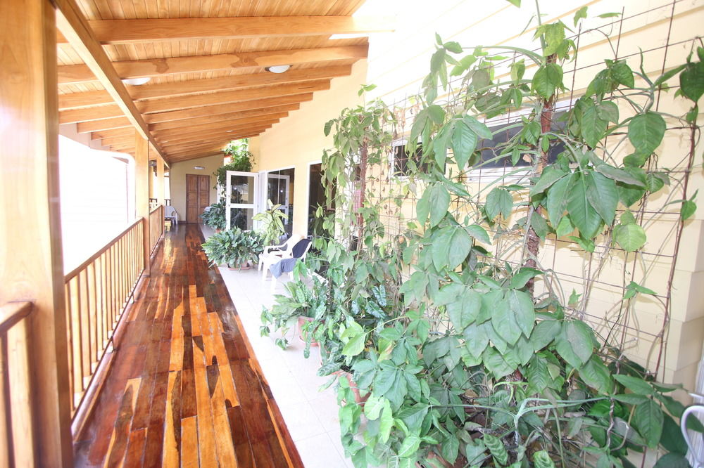 Fotos del hotel - SAMARA INN