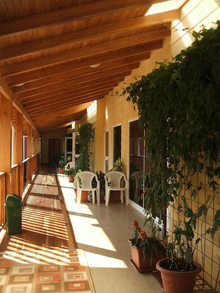 Fotos del hotel - SAMARA INN