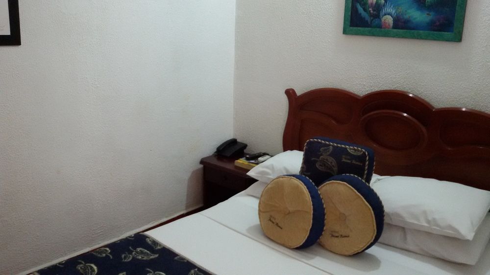 Fotos del hotel - HOTEL PALMA BLANCA DEL MAR