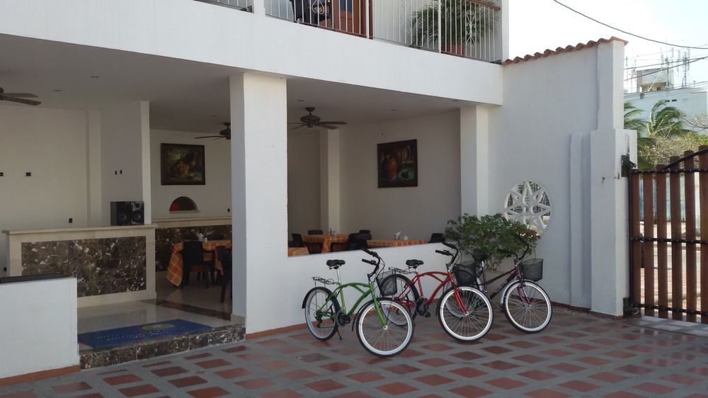 Fotos del hotel - HOTEL PALMA BLANCA DEL MAR