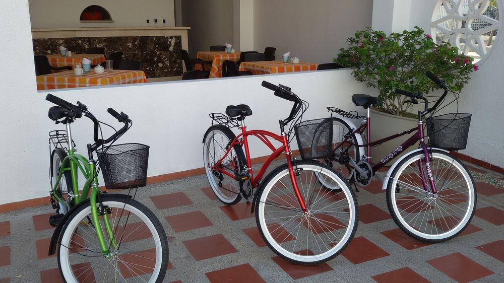 Fotos del hotel - HOTEL PALMA BLANCA DEL MAR