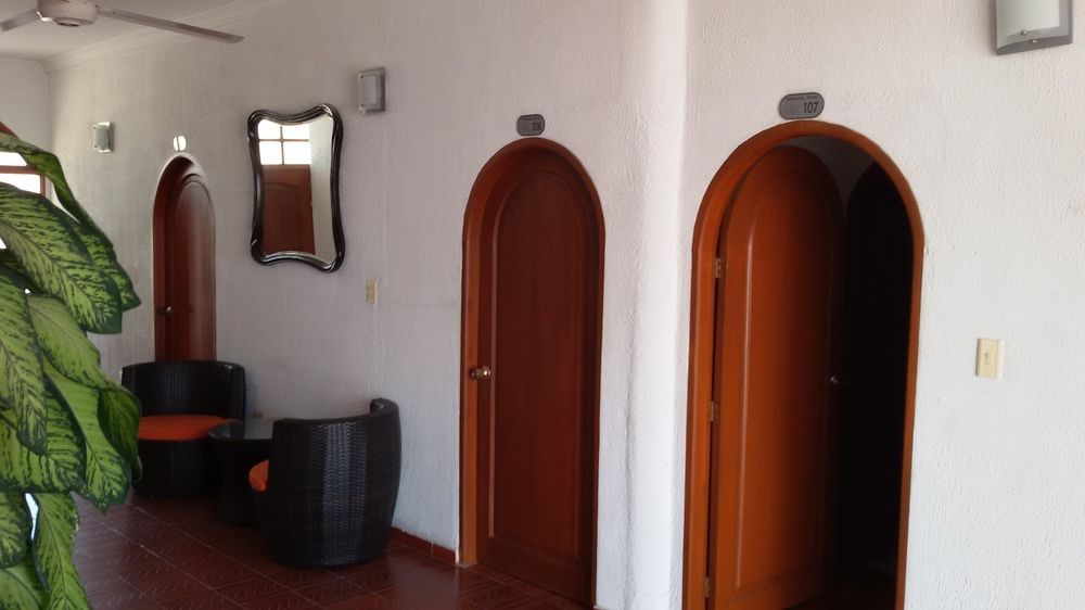 Fotos del hotel - HOTEL PALMA BLANCA DEL MAR