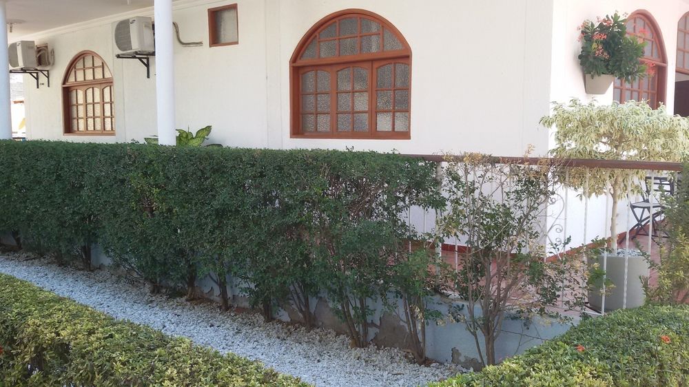 Fotos del hotel - HOTEL PALMA BLANCA DEL MAR