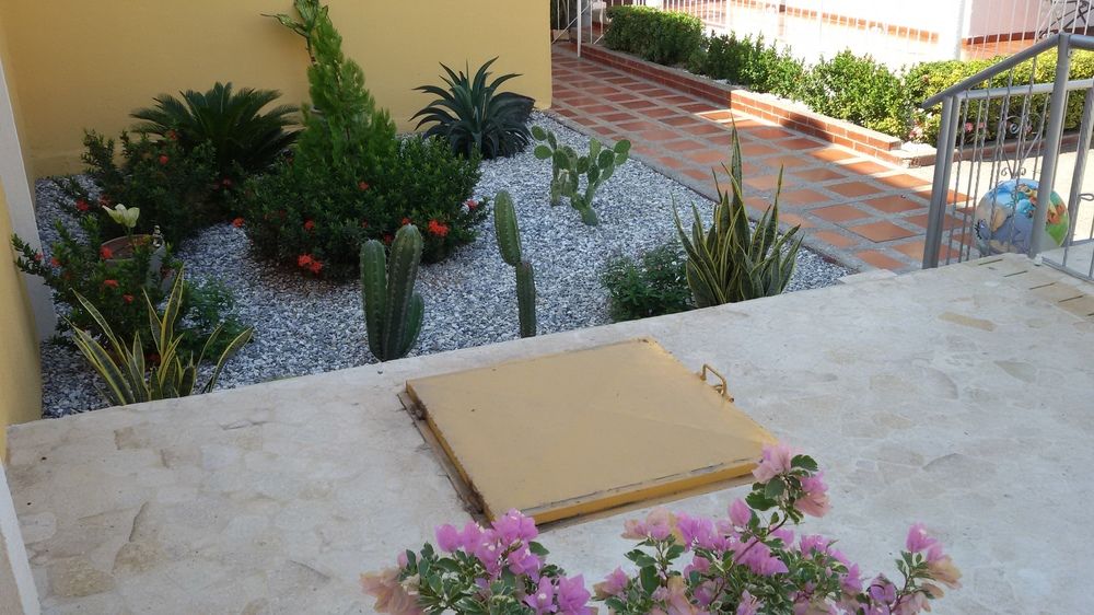 Fotos del hotel - HOTEL PALMA BLANCA DEL MAR