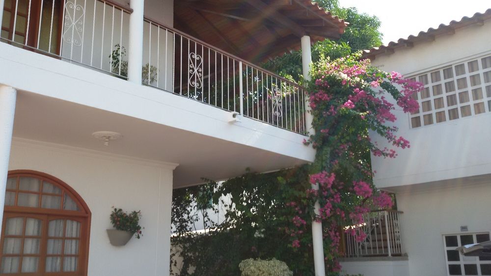 Fotos del hotel - HOTEL PALMA BLANCA DEL MAR