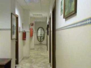 Fotos del hotel - Hotel New Salus