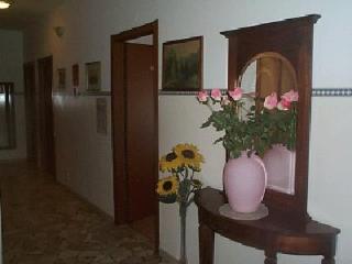 Fotos del hotel - Hotel New Salus