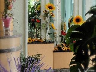 Fotos del hotel - Hotel Oberdan