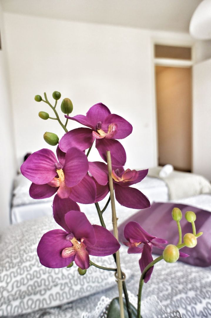Fotos del hotel - GRAND PLACE DUPLEX IV