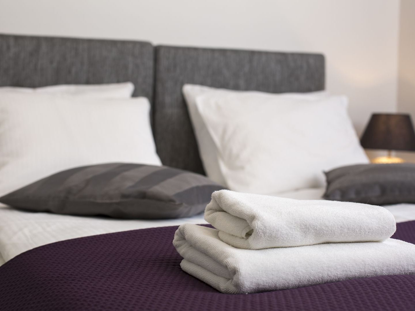 Fotos del hotel - M7