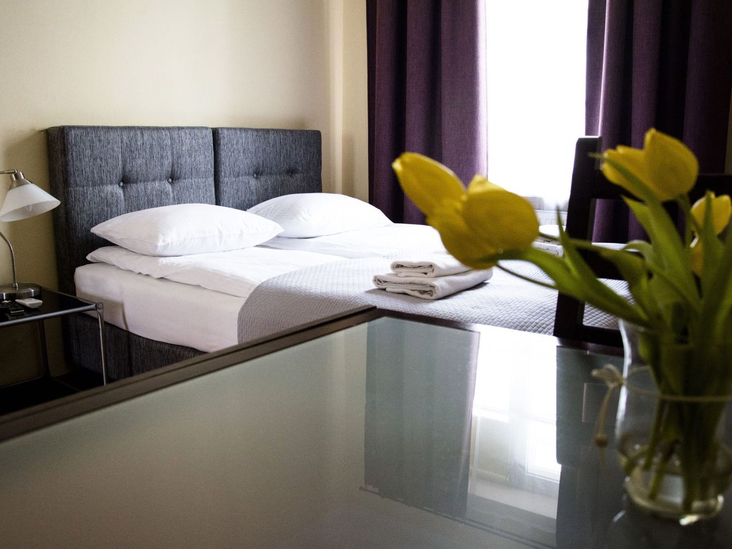 Fotos del hotel - M17