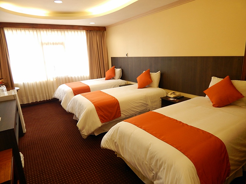 Fotos del hotel - HOTEL REPUBLICA