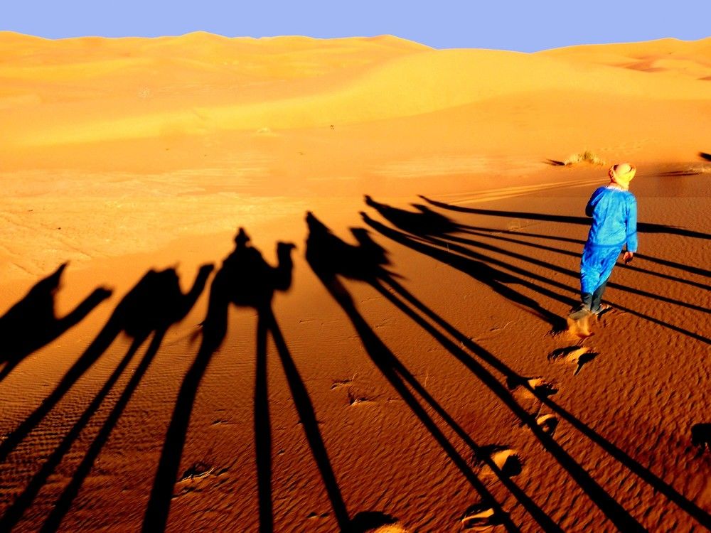 Fotos del hotel - LA VALLEE DES DUNES
