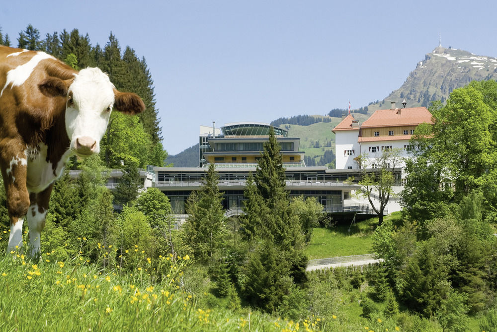 Fotos del hotel - HOTEL SCHLOSS LEBENBERG
