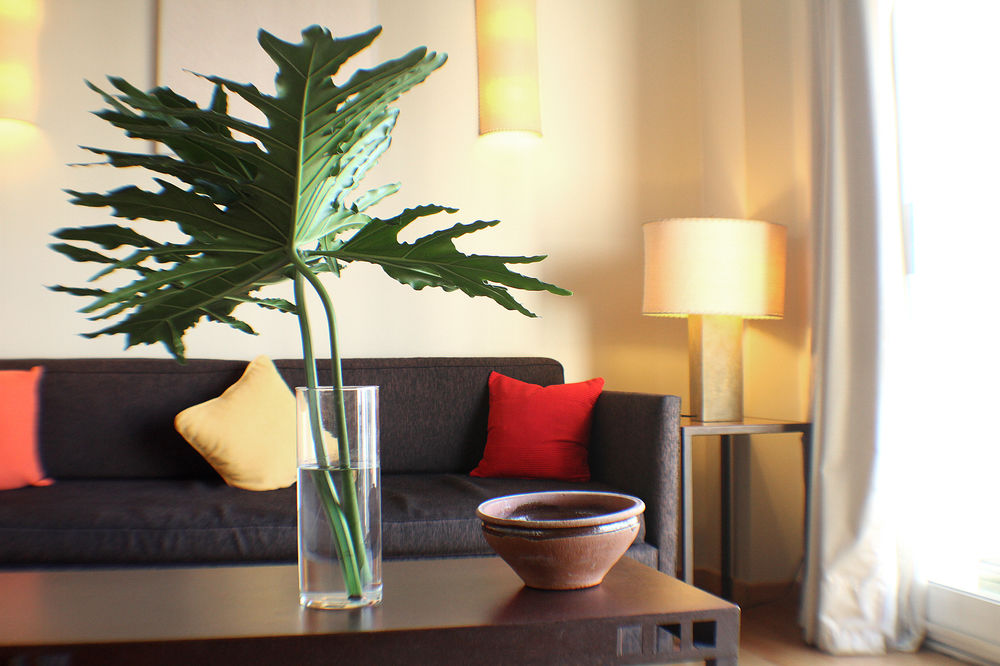 Fotos del hotel - Art Suites