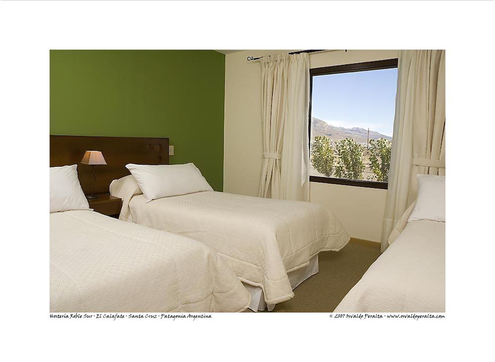 Fotos del hotel - ROBLE SUR HOSTERIA