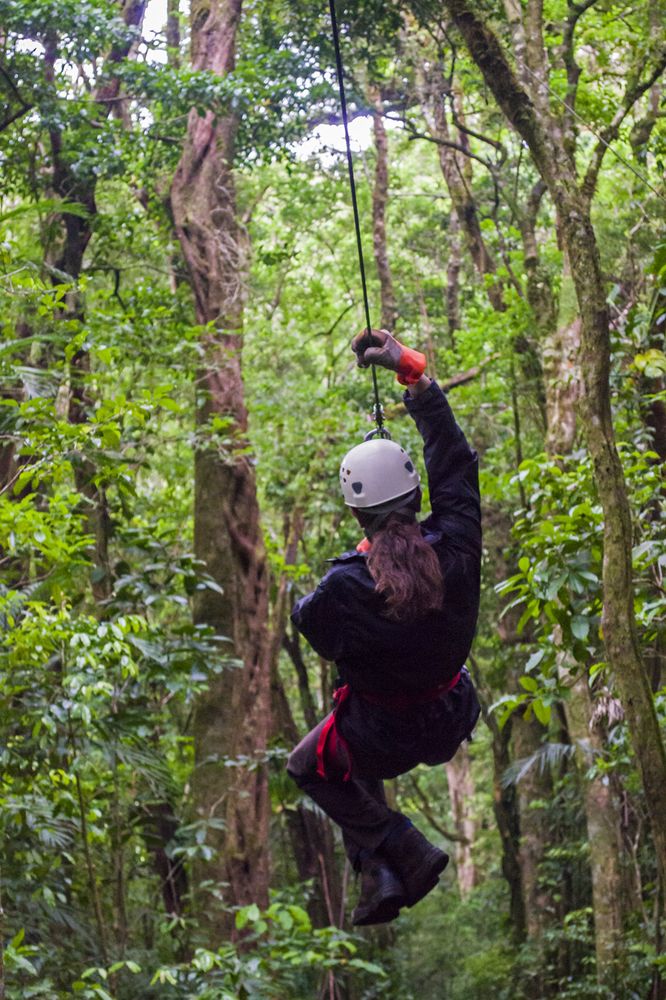 Fotos del hotel - CLOUD FOREST LODGE