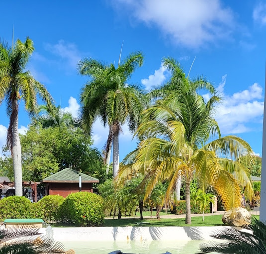 Fotos del hotel - BLAU VARADERO