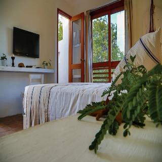 Fotos del hotel - LA CASA DEL ARBOL HOTEL BOUTIQUE