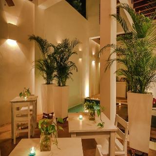 Fotos del hotel - LA CASA DEL ARBOL HOTEL BOUTIQUE