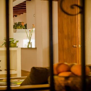 Fotos del hotel - LA CASA DEL ARBOL HOTEL BOUTIQUE