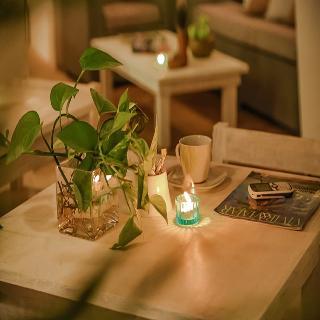 Fotos del hotel - LA CASA DEL ARBOL HOTEL BOUTIQUE