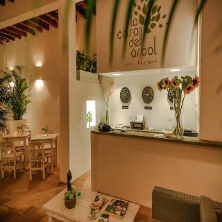 Fotos del hotel - LA CASA DEL ARBOL HOTEL BOUTIQUE