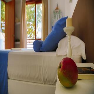 Fotos del hotel - LA CASA DEL ARBOL HOTEL BOUTIQUE